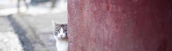 Переменчивая погода ожидается в последние выходные марта в Приморье