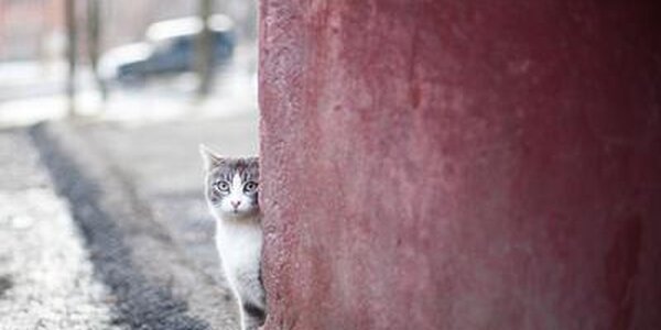 Переменчивая погода ожидается в последние выходные марта в Приморье