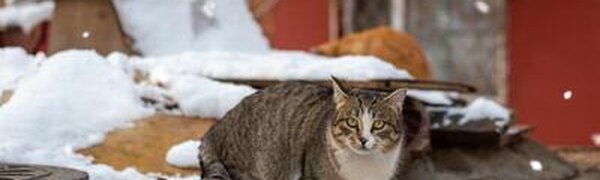 Предпоследние выходные марта в Приморье были прохладными