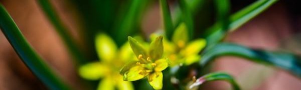 Стало известно, какая погода будет в Приморье на выходных