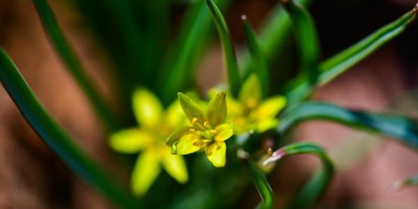 Стало известно, какая погода будет в Приморье на выходных
