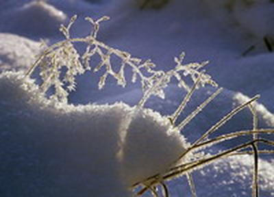 Январь 2011 года в Приморье: Бесснежный и умеренно-морозный