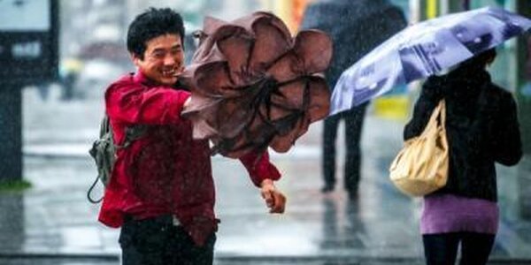 Дождь и сильный ветер пришли в Приморье в пятницу