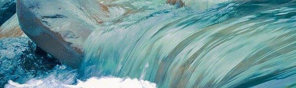 Реки в Приморье полностью вскрылись ото льда