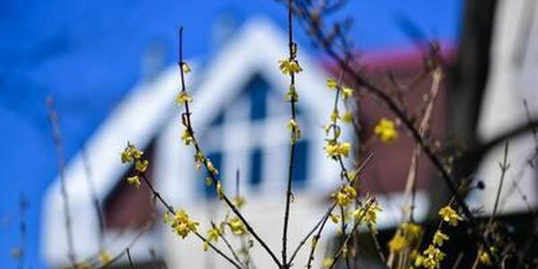 Погода в Приморье начнет налаживаться со второй половины дня субботы