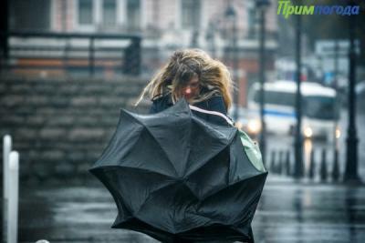 Дождь, местами сильный, похолодание и сильный ветер: всё о погоде в Приморье 12 — 13 апреля