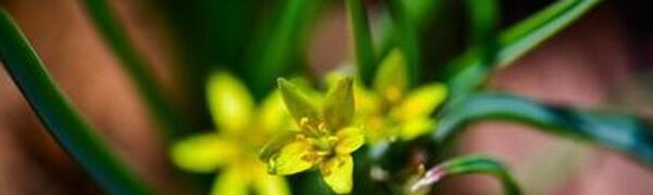 До +20 °С прогрелся воздух в центральных районах Приморья на выходных (ФОТО)