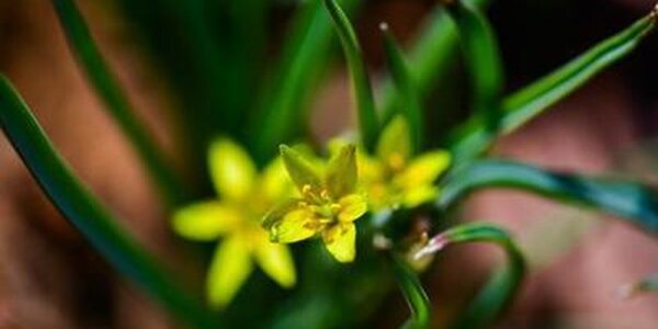 До +20 °С прогрелся воздух в центральных районах Приморья на выходных (ФОТО)