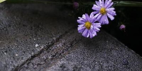 Погода в Приморье начнет портиться в конце дня среды