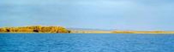 Деньги Китая оздоровили приток Амура