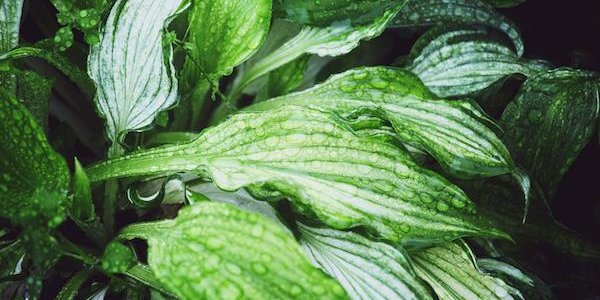 Погода во второй половине недели в Приморье ухудшится