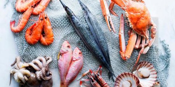 Новый рыбный рынок откроется во Владивостоке