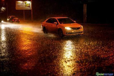 Прошедшие дожди не повлияли на пожароопасную обстановку в Приморье