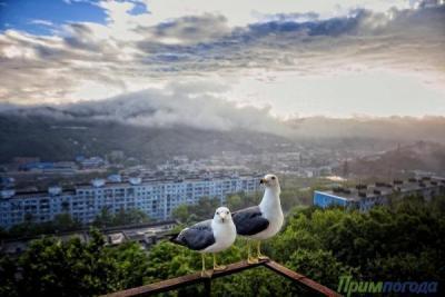 Переменчивая погода ждёт приморцев на этой рабочей неделе