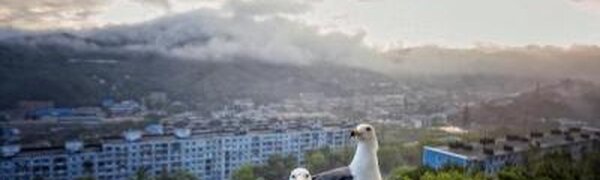 Переменчивая погода ждёт приморцев на этой рабочей неделе