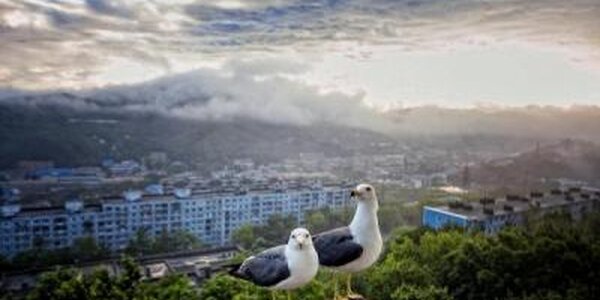 Переменчивая погода ждёт приморцев на этой рабочей неделе