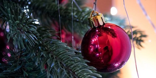 С 12 декабря во Владивостоке развернутся ёлочные базары