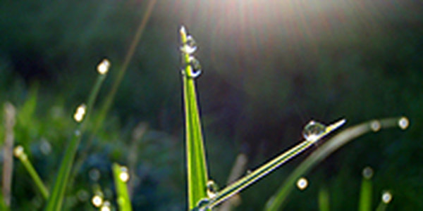 Какая погода ждет нас в выходные?