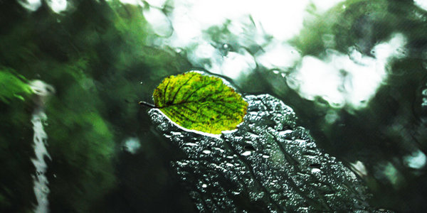 Осадки в Приморье прекратятся к вечеру