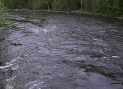 На реках края ожидается подъем уровня воды