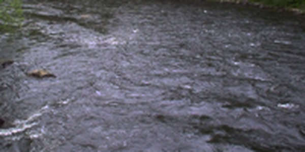 На реках края ожидается подъем уровня воды