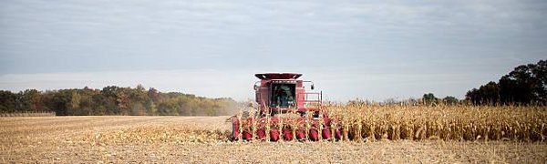 Ущерб от холодного лета для аграриев оценили в 2,6 млрд руб.