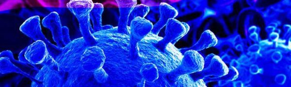 Власти Китая объявили об остановке эпидемии COVID-19 в стране