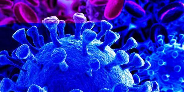 Власти Китая объявили об остановке эпидемии COVID-19 в стране