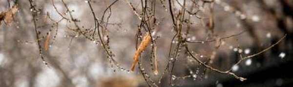 Апрель в Приморье начнется с дождя со снегом