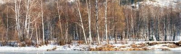 Реки Приморья продолжают освобождаться ото льда