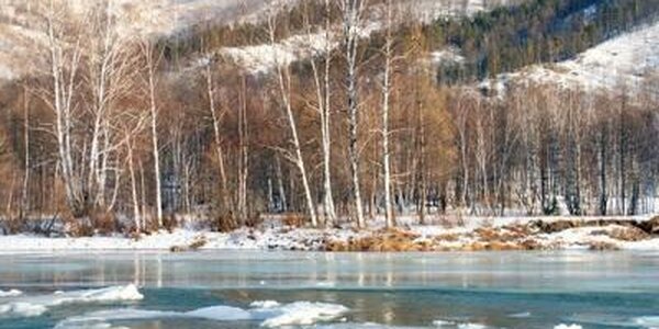 Реки Приморья продолжают освобождаться ото льда