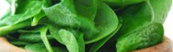 Десятка полезных растений: шпинат