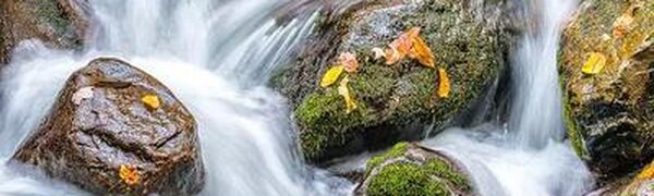 Гидрологи: повышенная водность рек остаётся в Приморье