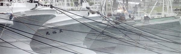 Первые последствия тайфуна «Неогури» в Японии