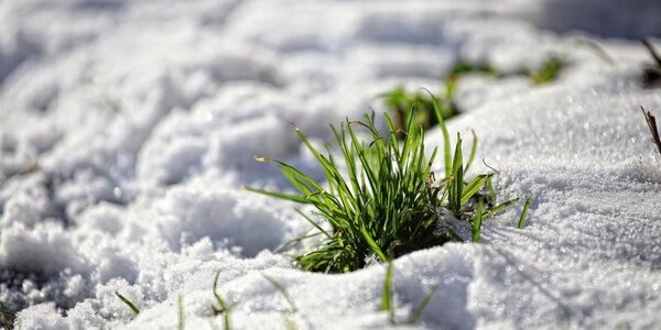 От морозов к оттепели: всё о погодных качелях на этой неделе в Приморье