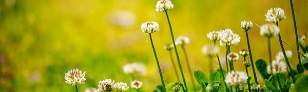 Переменчивая погода сохранится в Приморье до конца недели