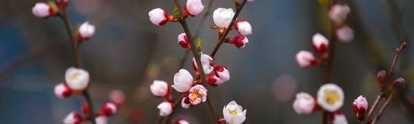 Во Владивостоке станет немного теплее лишь в пятницу