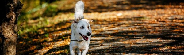 Метеорологическое лето завершится во Владивостоке сегодня