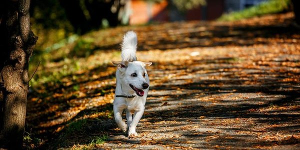 Метеорологическое лето завершится во Владивостоке сегодня