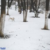Максимальное ухудшение погоды в Приморье ожидается вечером 22 декабря