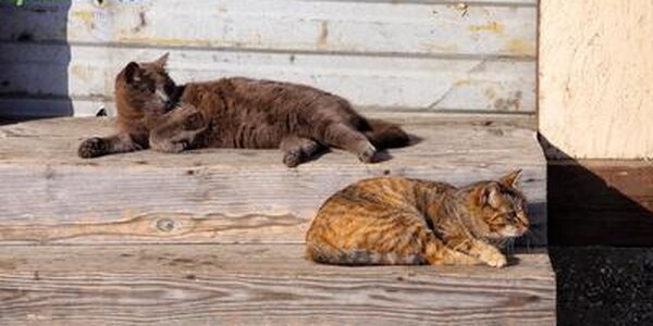 День 27 февраля выдался в Приморье на редкость теплым