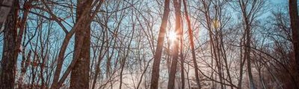 Долгожданное потепление придет в Приморье на выходных