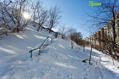 В центральных районах Приморья высота снега достигает 59 см