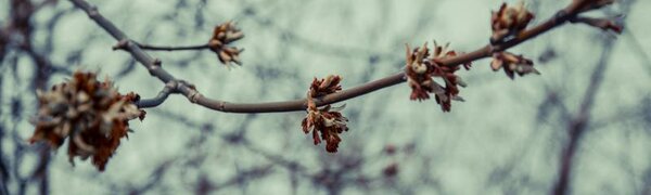 Климатолог заверил: теплая зима не приведет к холодному лету