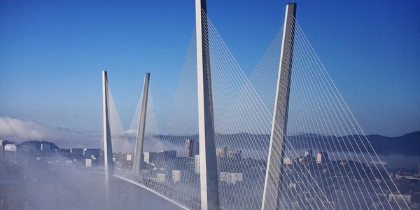 Как в Сингапуре: Владивосток увеличит штрафы в сфере благоустройства и экологии