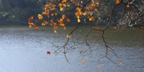 Вторая декада октября в Приморье выдалась прохладной