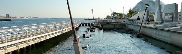 Часть Японии сместилась на восток