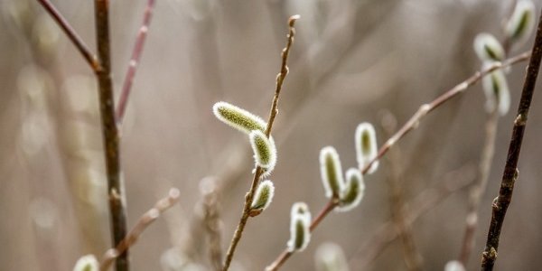 В предстоящие выходные в Приморье заметно потеплеет
