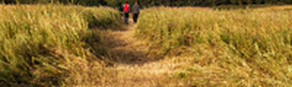 «Восточные лета»: магия Изумрудной долины