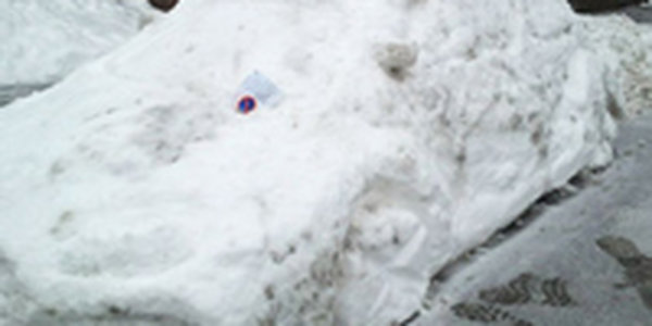 Немецкая полиция выписала штраф за парковку снежного автомобиля